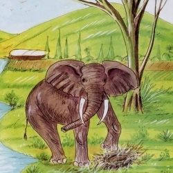 قصة القبرة والفيل
