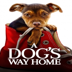فيلم العائلة A Dogs Way Home 2019 مترجم