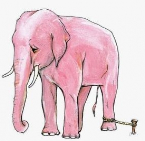 حكاية الفيل والخيط الرفيع